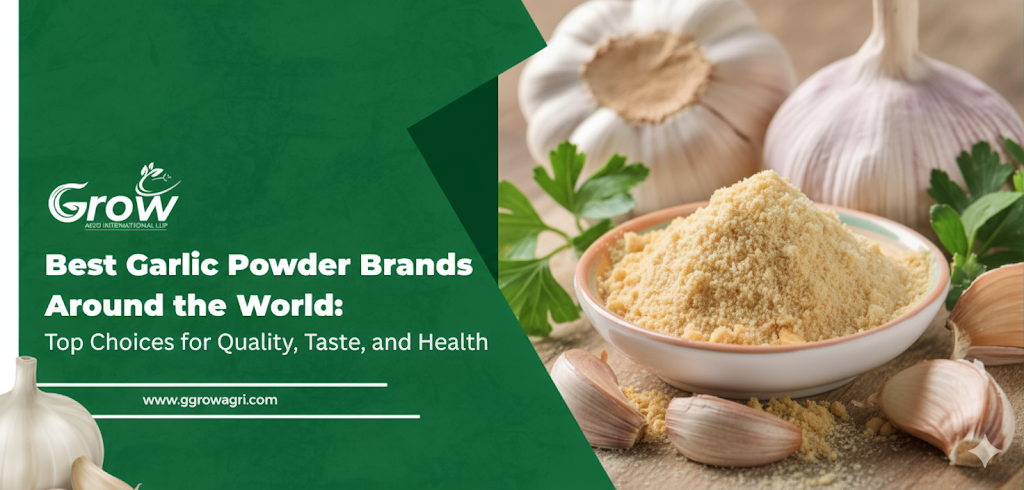 Best-Garlic-Powder-Brands-Around-the-World.png